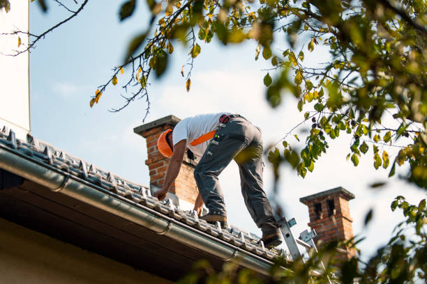 Best Flat Roof Repair Services  in Bacliff, TX