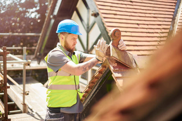 Roof Gutter Cleaning in Bacliff, TX